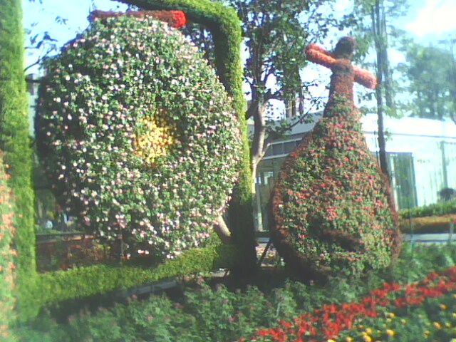 IMG0167A.jpg
