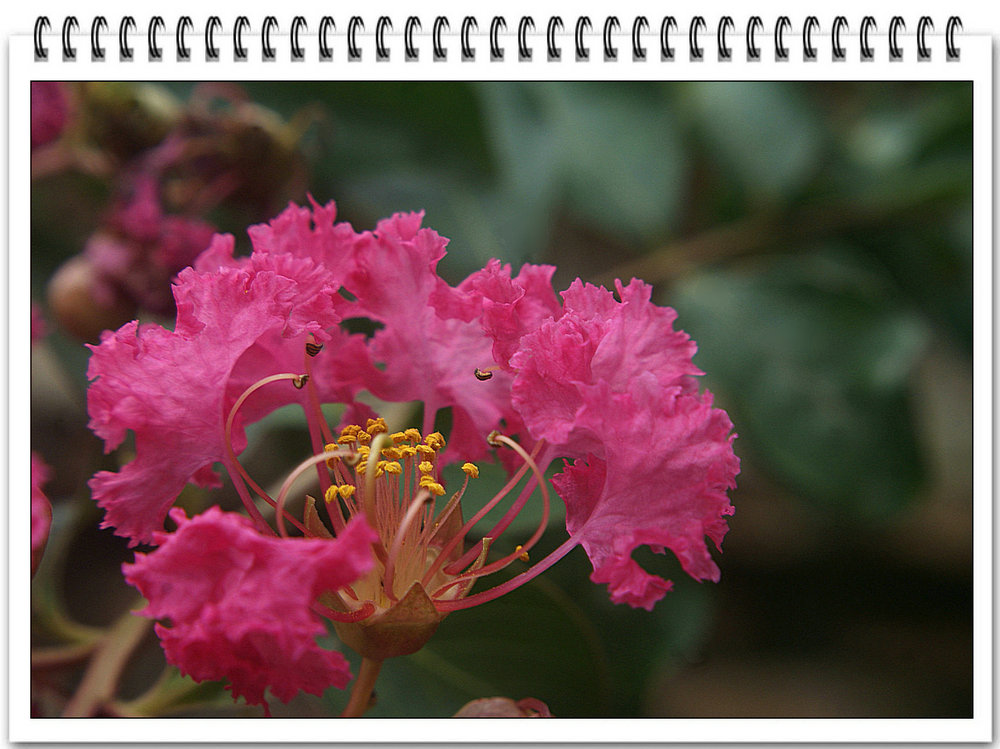 DSC08595_副本.jpg
