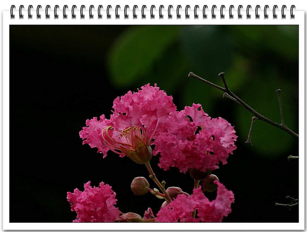 DSC08604_副本.jpg