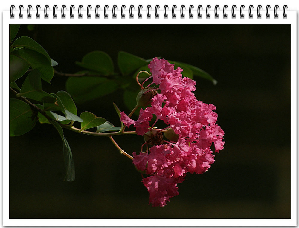 DSC08626.jpg