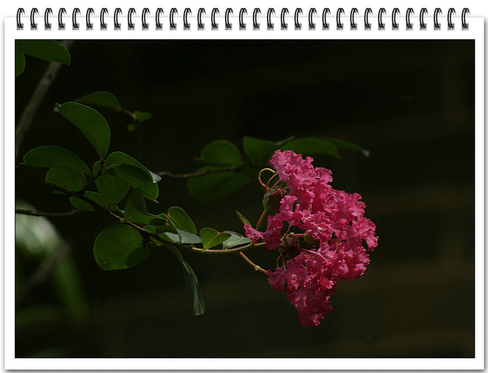 DSC08635.jpg