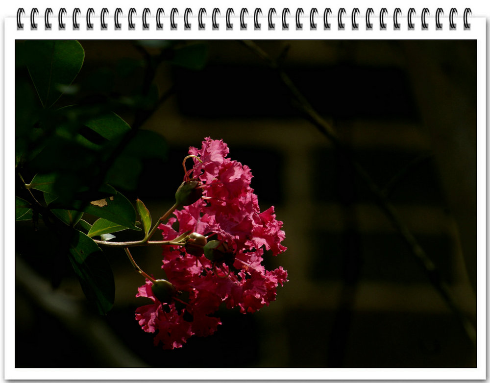DSC08641.jpg
