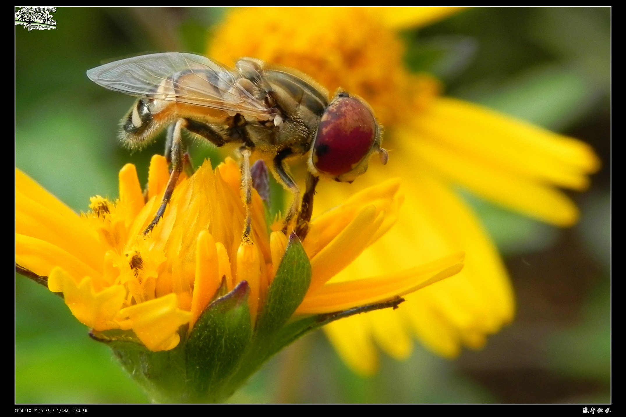 DSCN9740.JPG