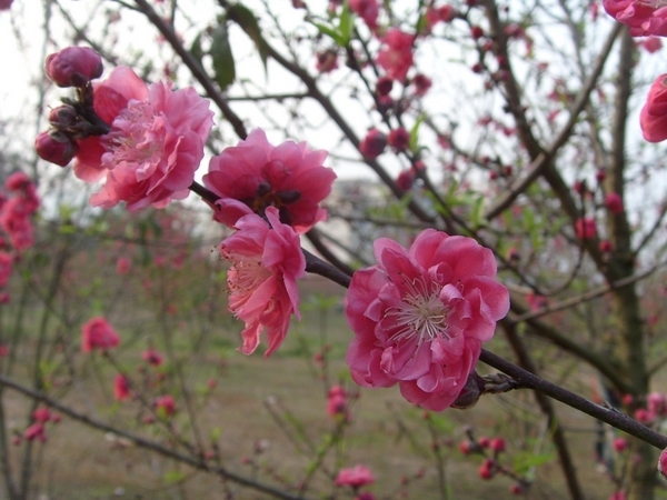 S73R5719.jpg