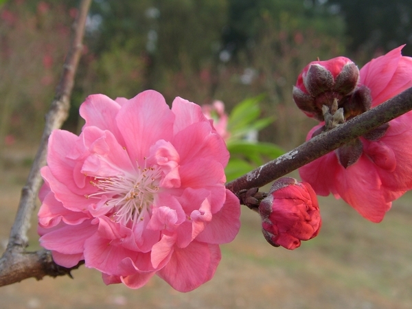 S73R5724.jpg