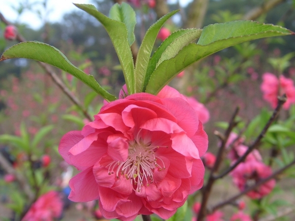 S73R5725.jpg