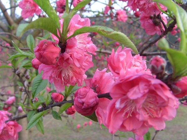 S73R5735.jpg