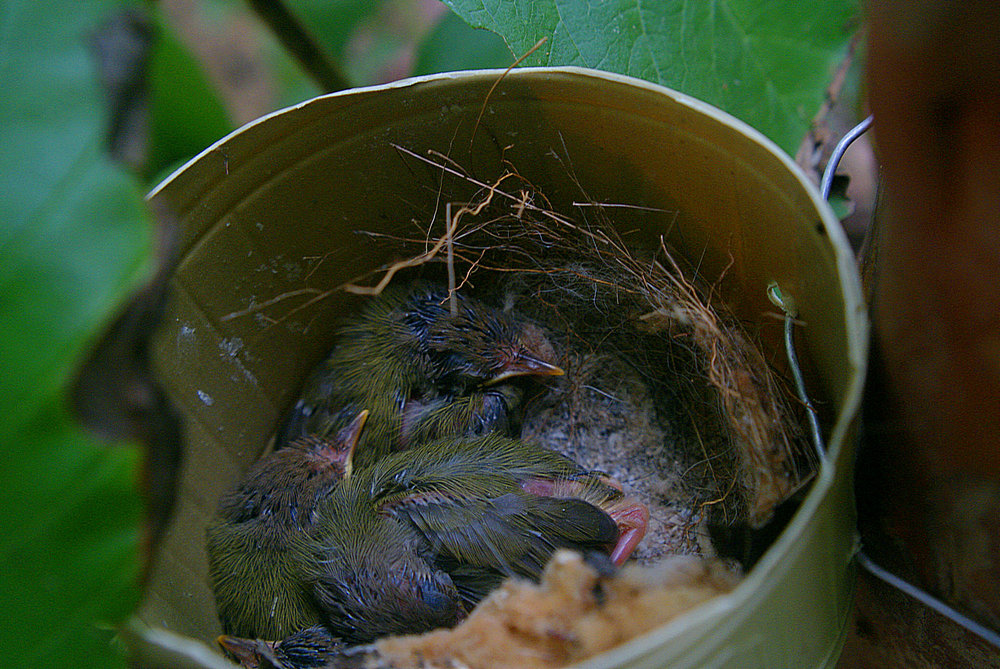 DSC08818.JPG