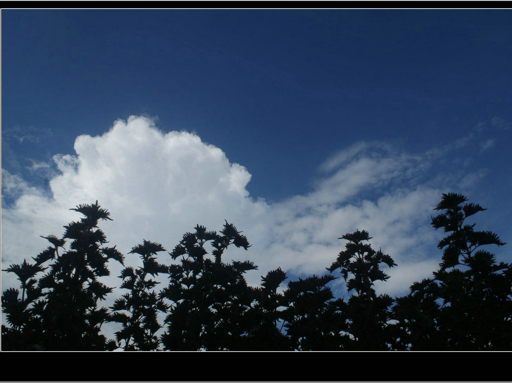 DSC09154.jpg