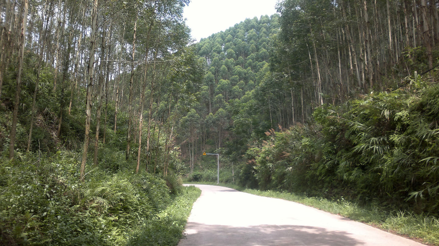 20110719097.jpg