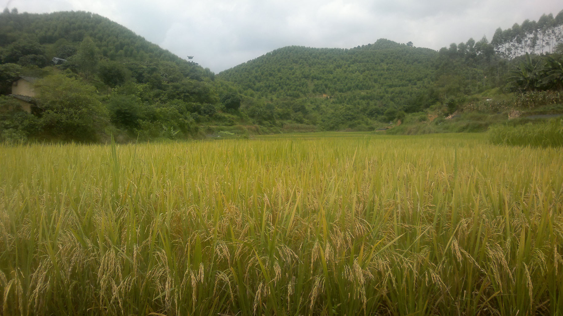 20110722104.jpg