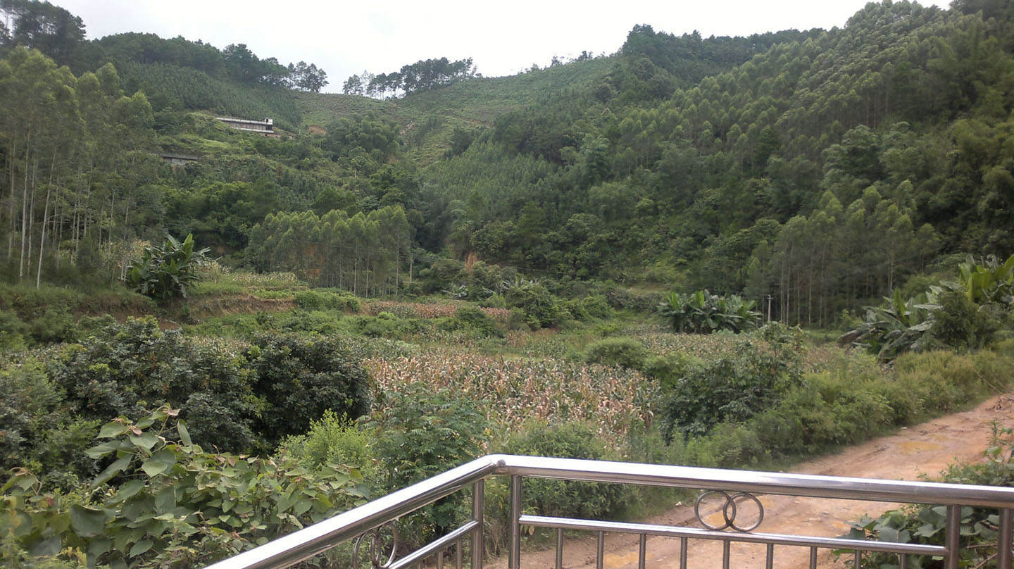 20110722114.jpg
