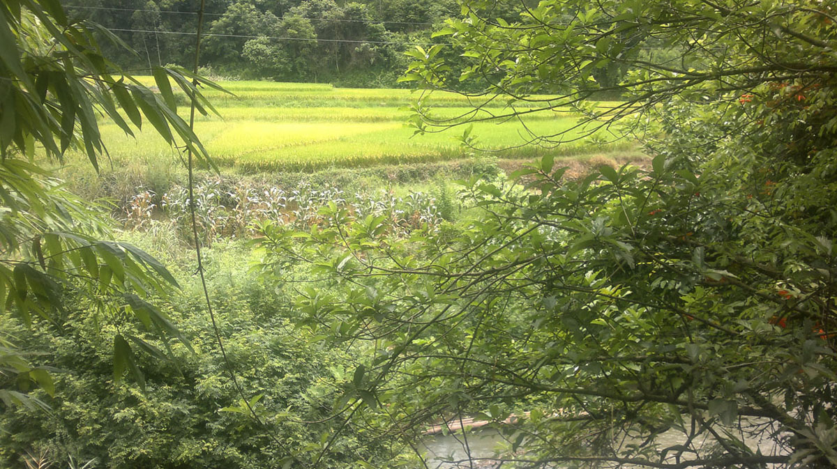 20110722107.jpg