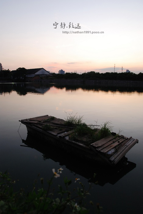 DSC_2732.jpg