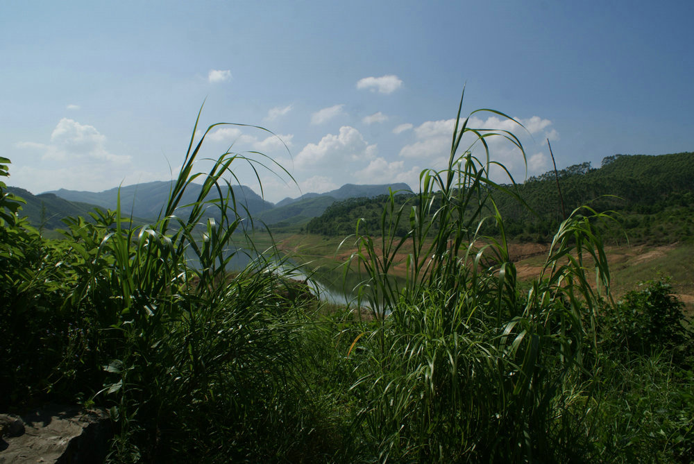 DSC09283.jpg
