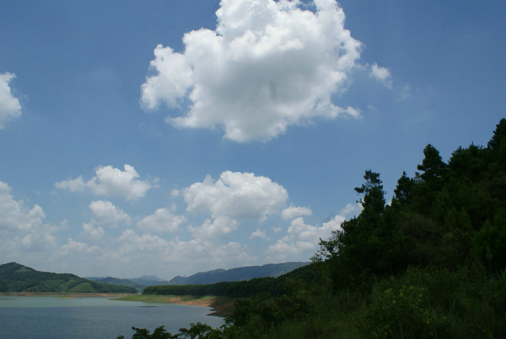 DSC09356.jpg