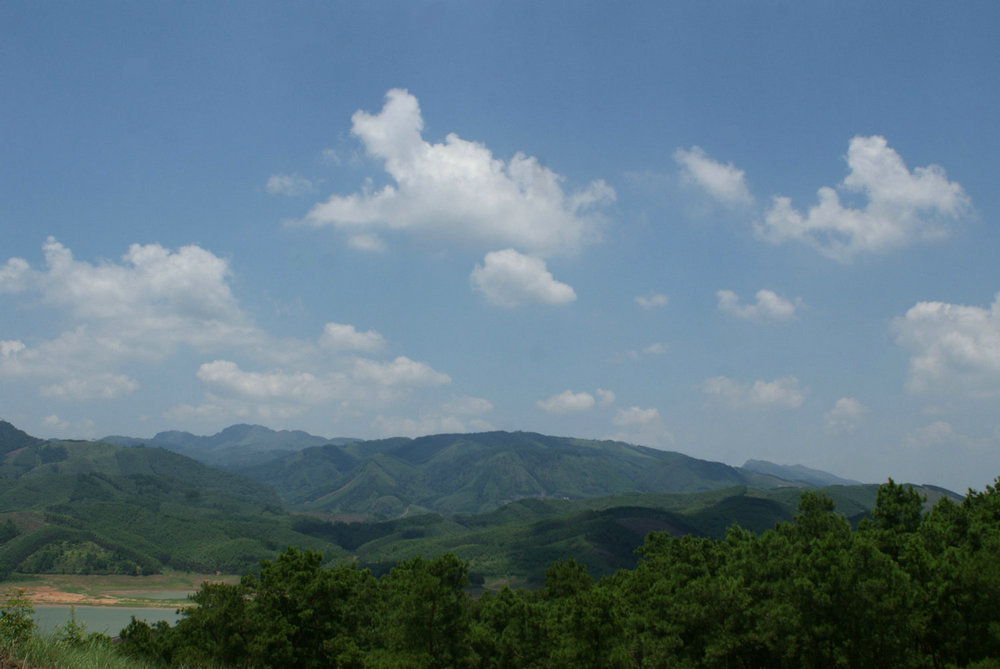 DSC09386.jpg