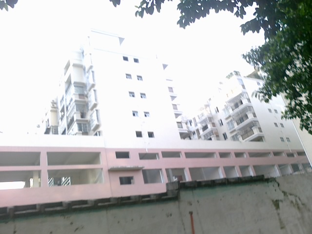 201107301169.jpg