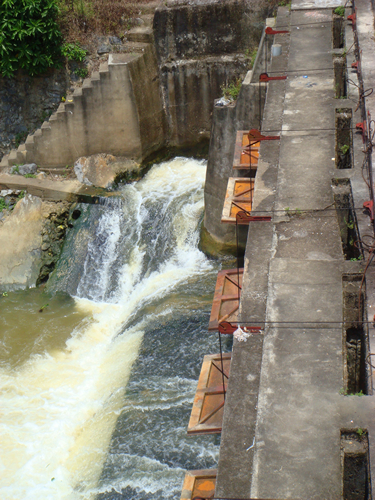 DSC07542_副本.jpg
