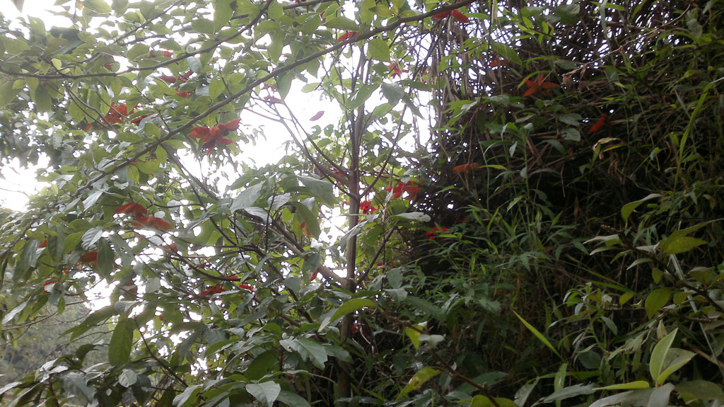 20110730131.jpg
