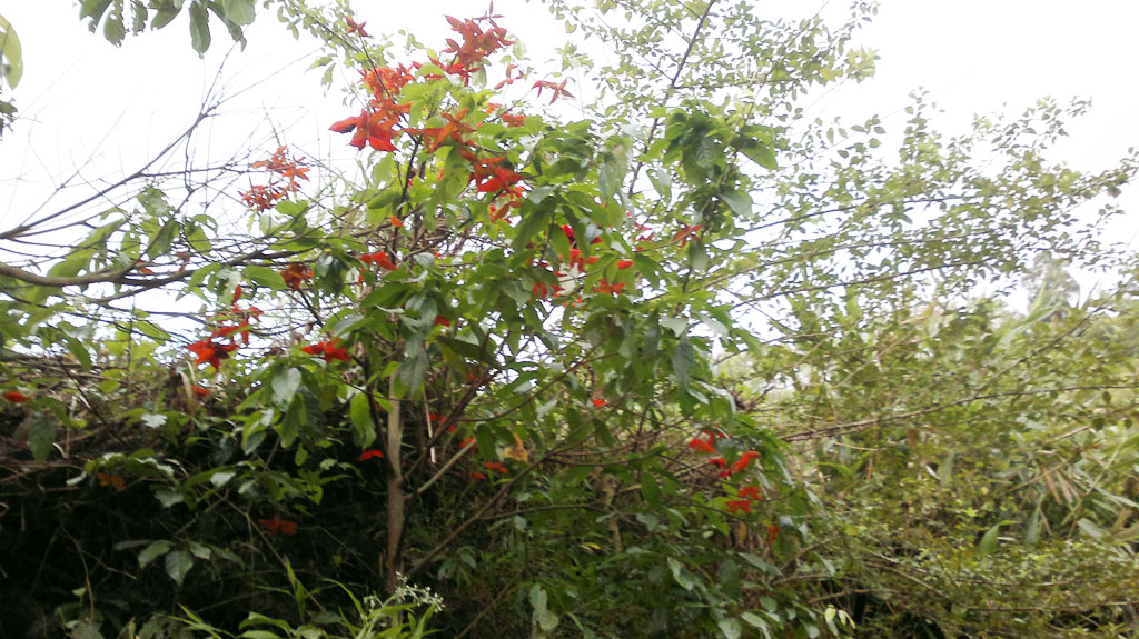 20110730132.jpg