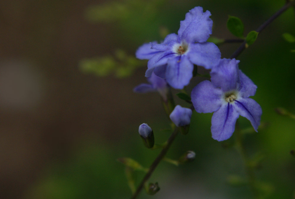 DSC08857.jpg