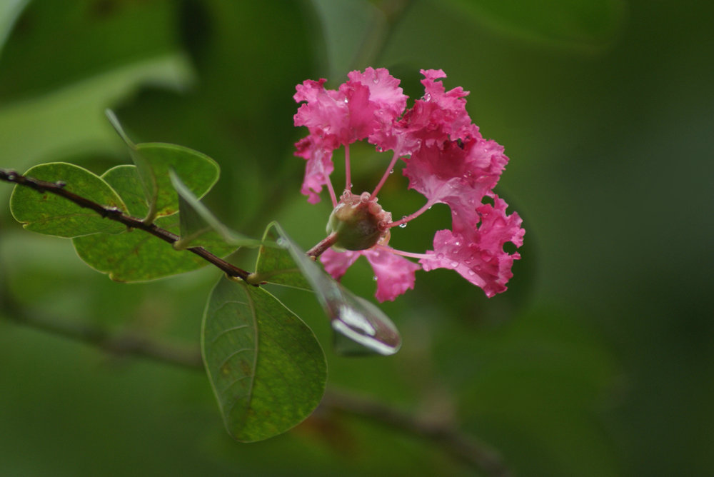 DSC09712.JPG