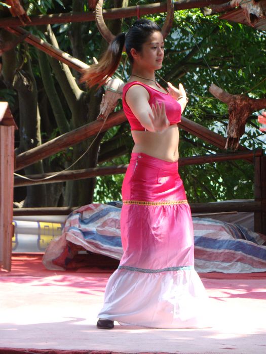 DSC07526.jpg