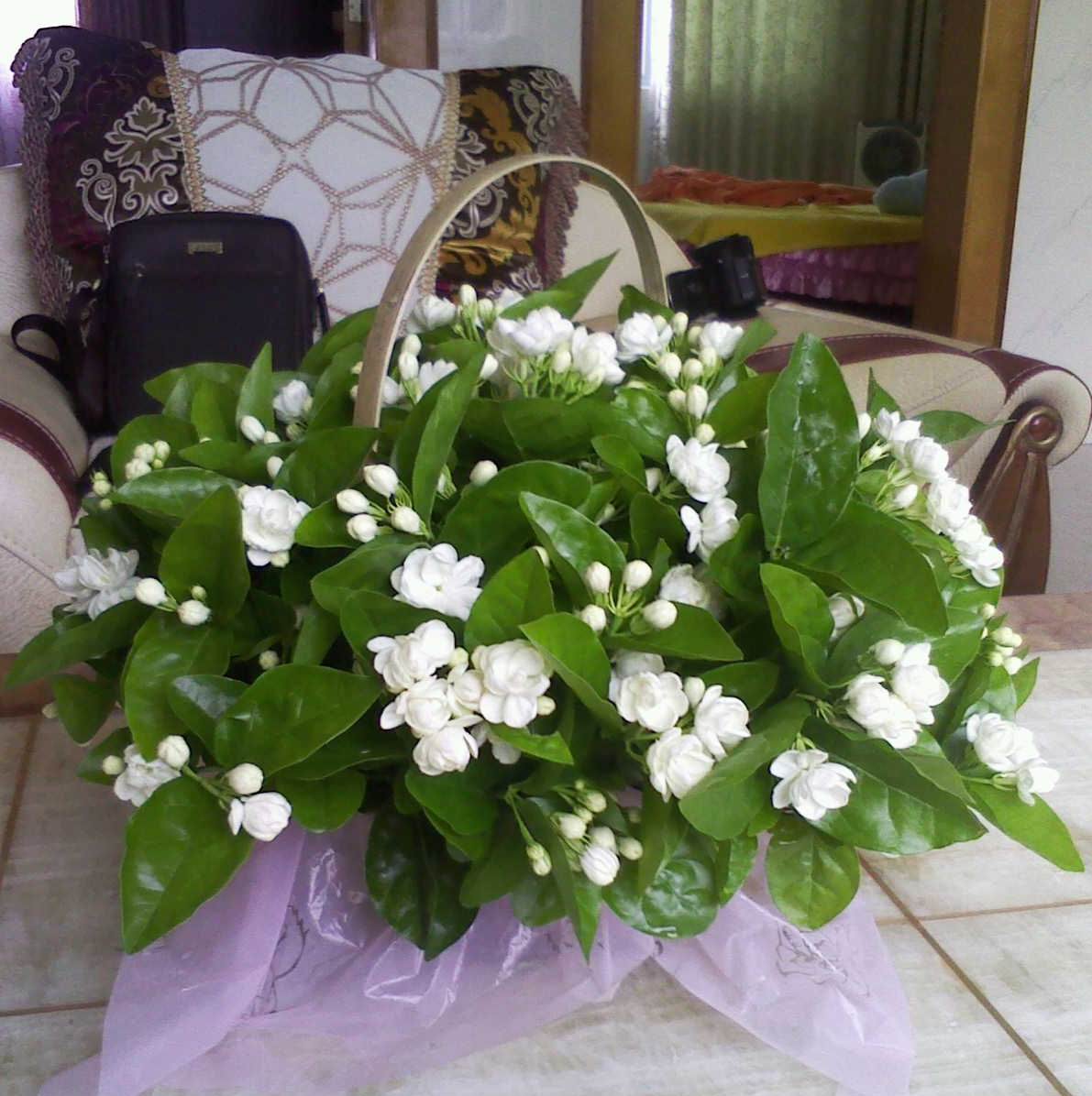 201108060844481.jpg