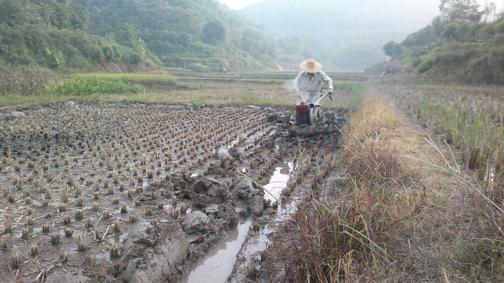 20110803140.jpg