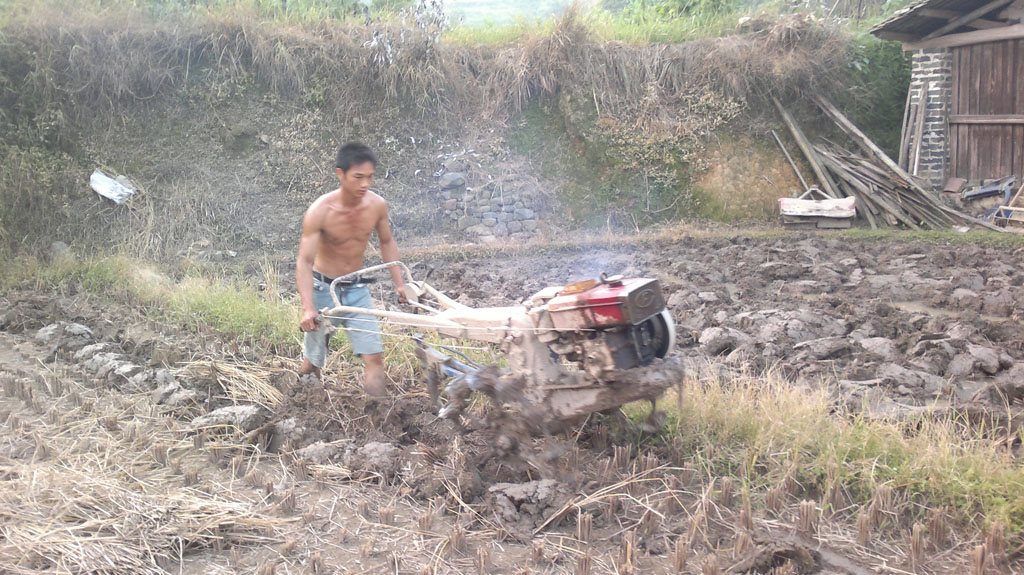20110803142.jpg