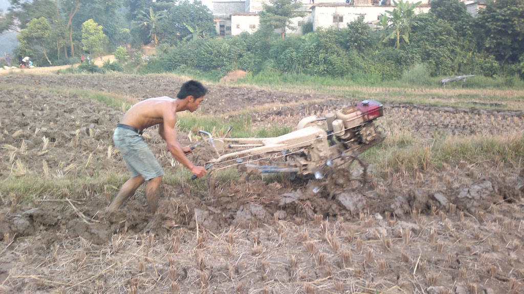 20110803145.jpg