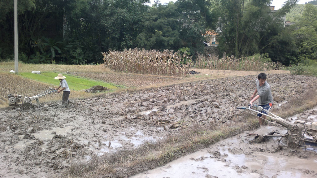 20110804149.jpg