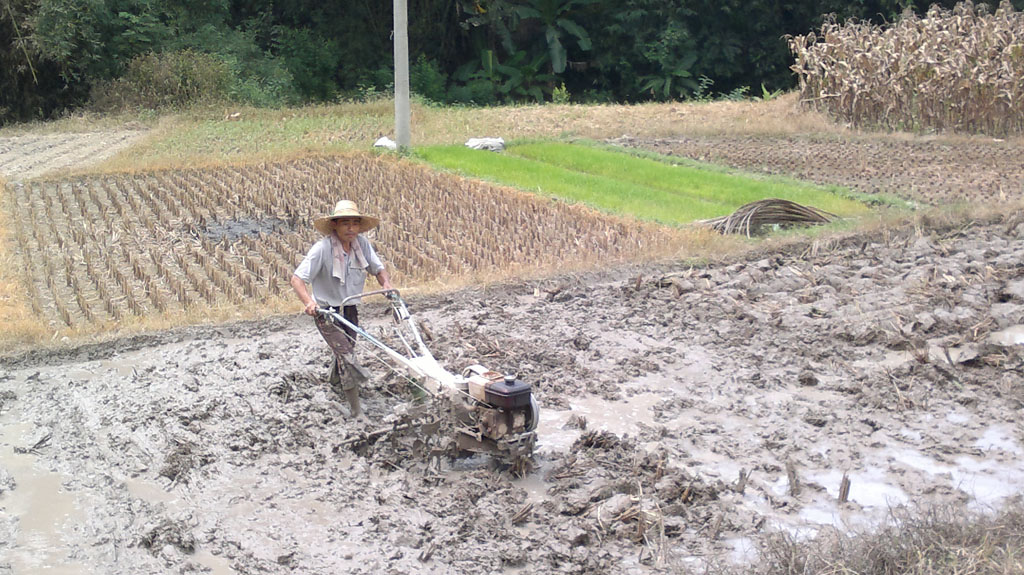 20110804150.jpg