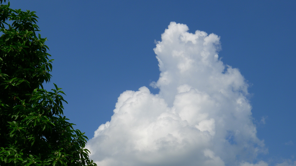 L1020263.jpg