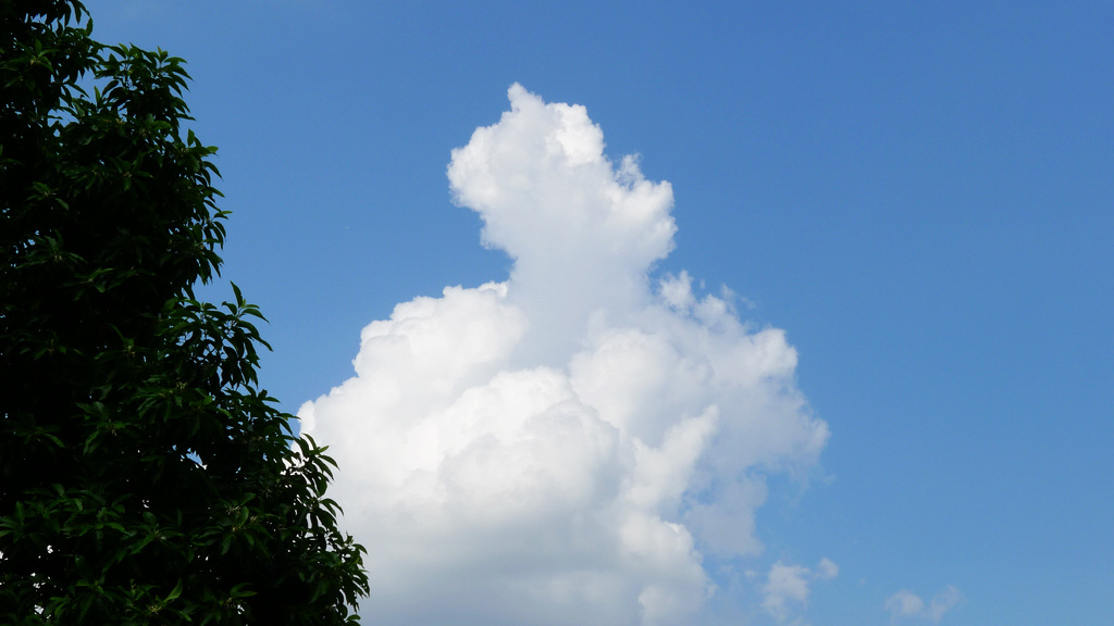 L1020268.jpg