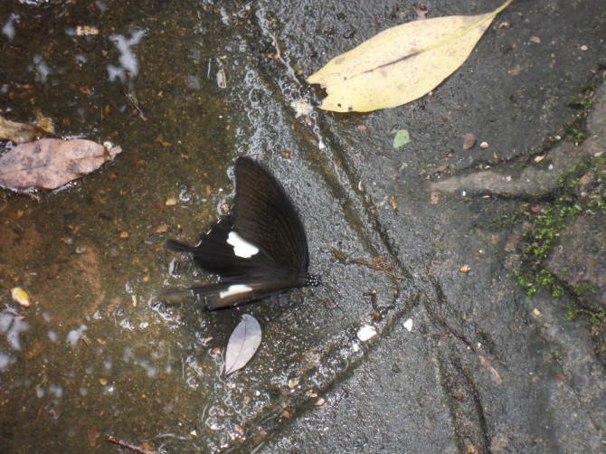 http_imgloadCABF0FO6.jpg530.jpg