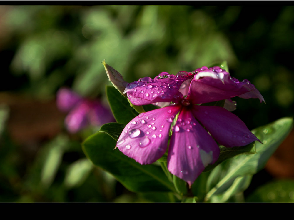 DSC00220.JPG
