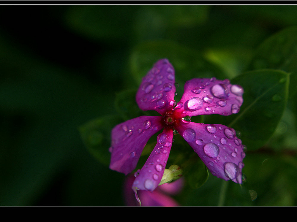 DSC00233.JPG