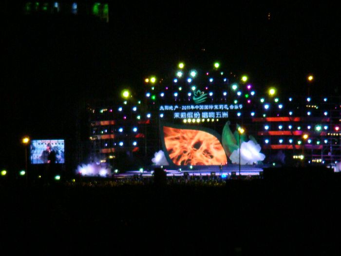DSC08079.jpg