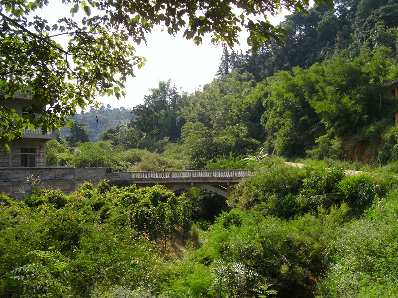 DSCK2186.JPG