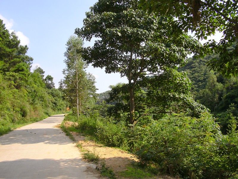 DSCK2190.JPG