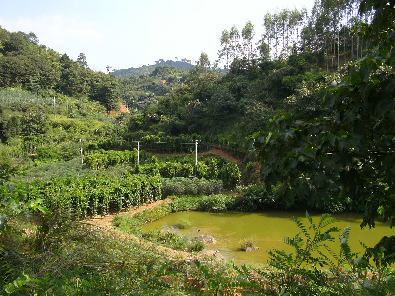 DSCK2191.JPG