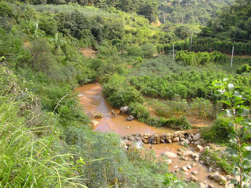 DSCK2208.JPG