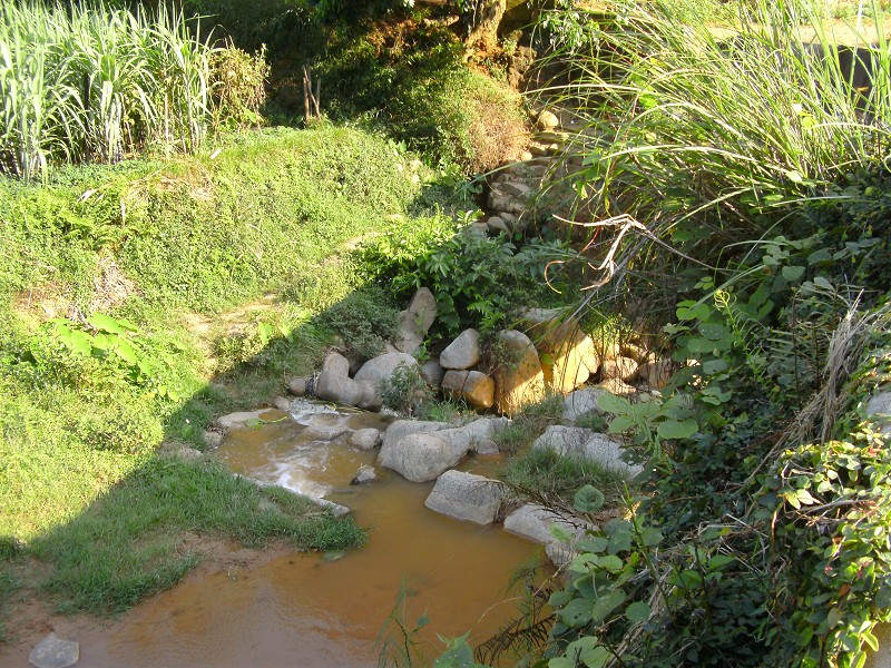 DSCK2251.JPG