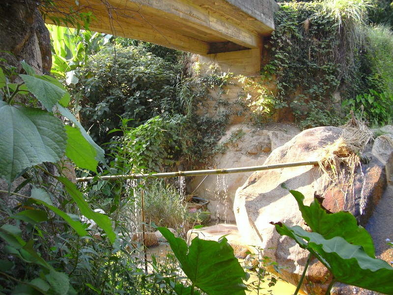DSCK2258.JPG