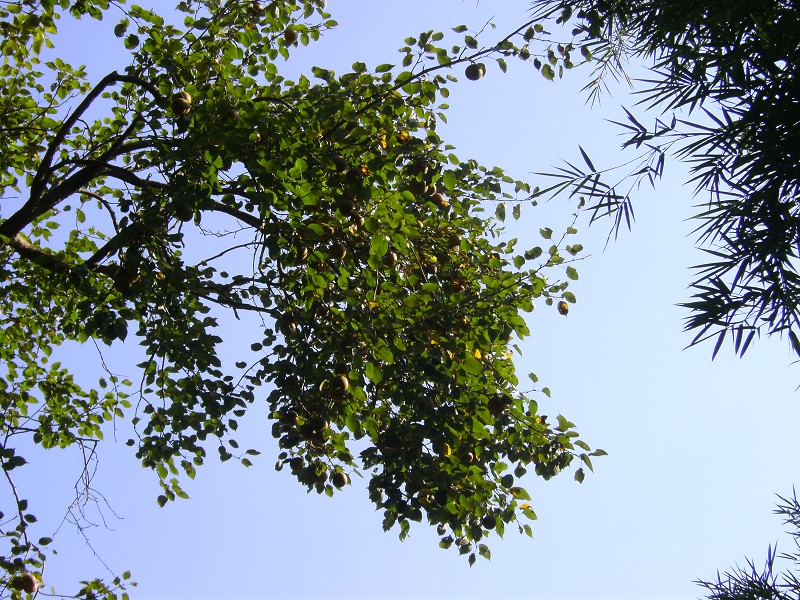 DSCK2268.JPG