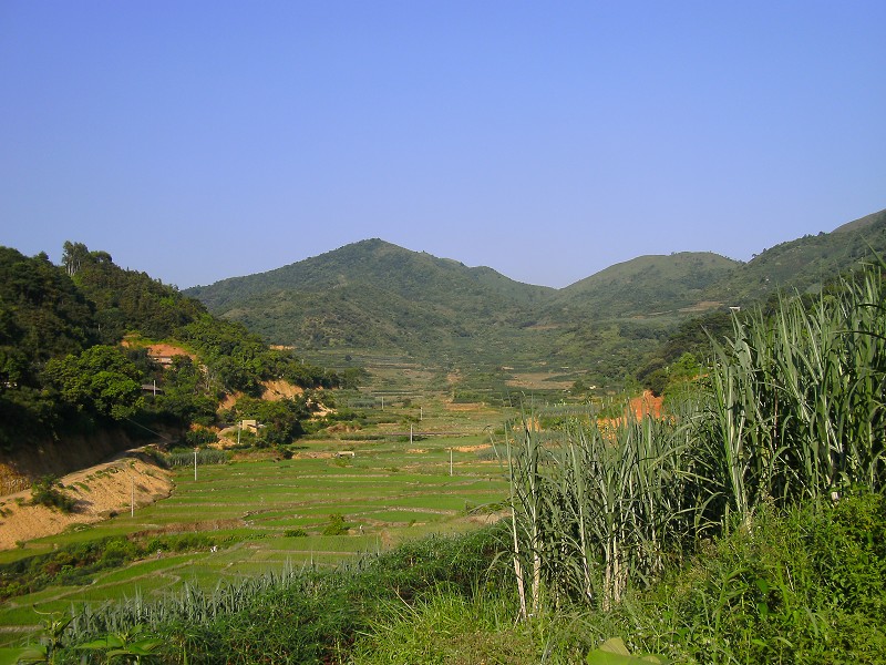 DSCK2275.JPG
