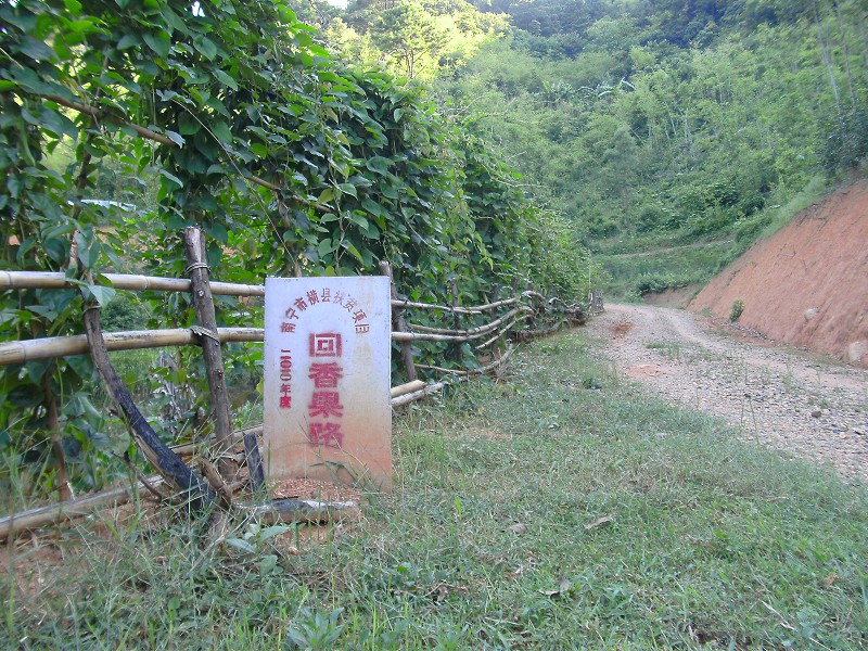 DSCK2291.JPG