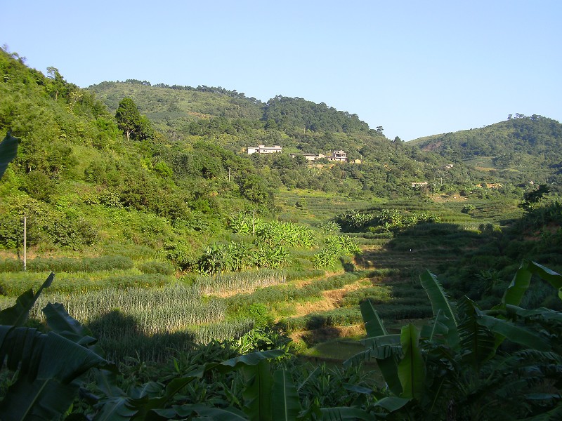 DSCK2295.JPG